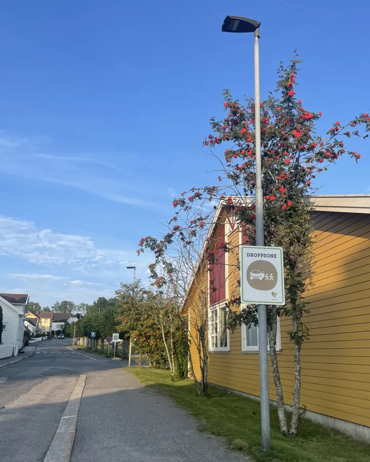 Dropp-sone i Halsegata